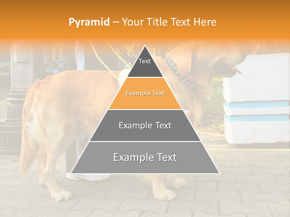 Skilled Skills Unsighted PowerPoint Template