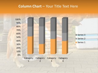 Skilled Skills Unsighted PowerPoint Template