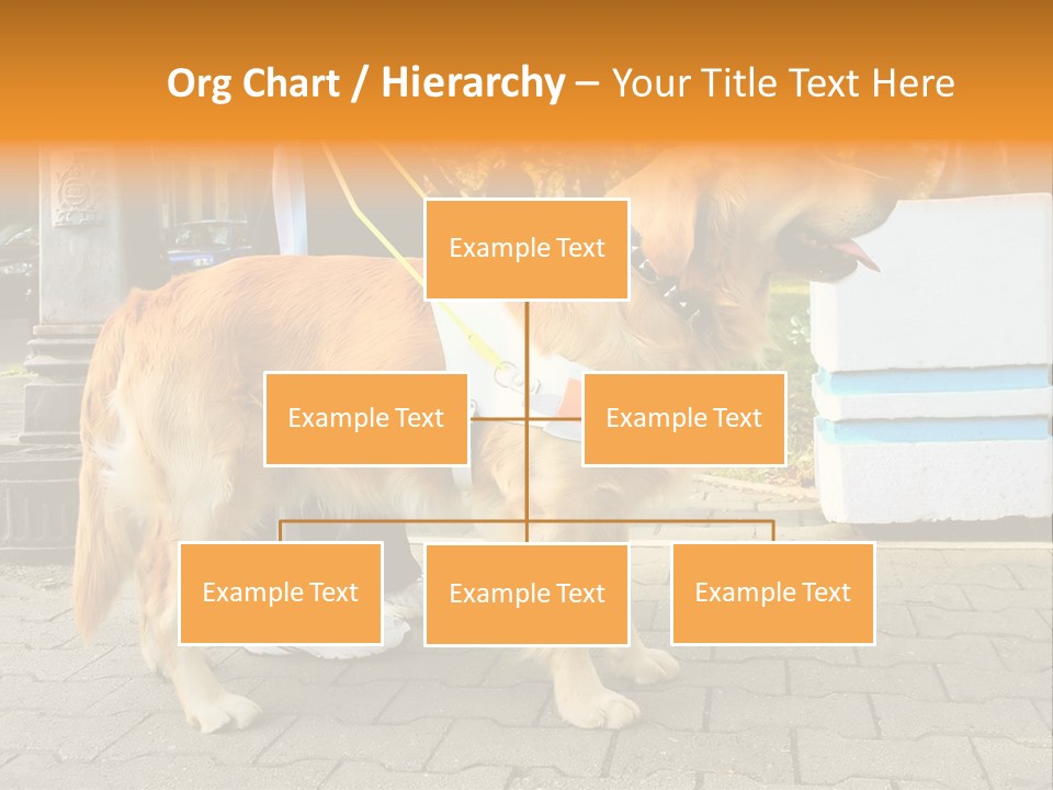 Skilled Skills Unsighted PowerPoint Template