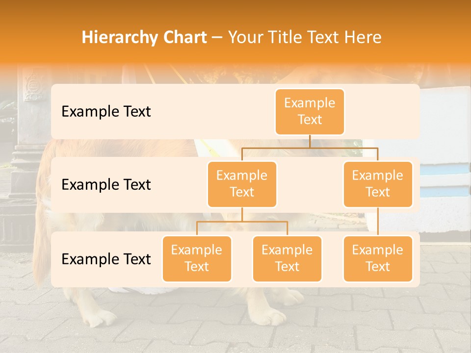 Skilled Skills Unsighted PowerPoint Template