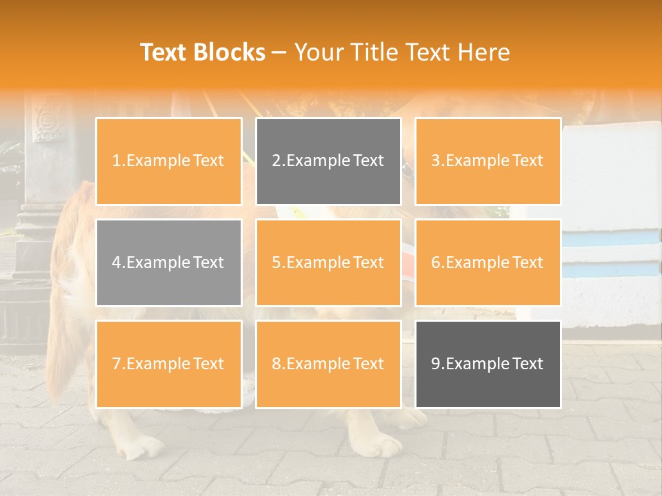 Skilled Skills Unsighted PowerPoint Template