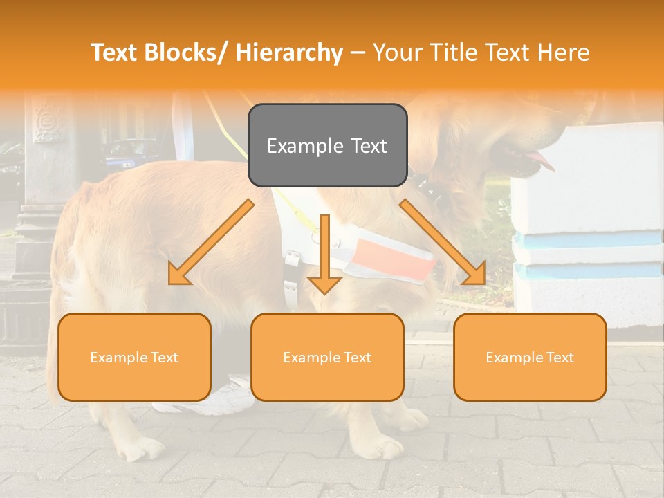 Skilled Skills Unsighted PowerPoint Template