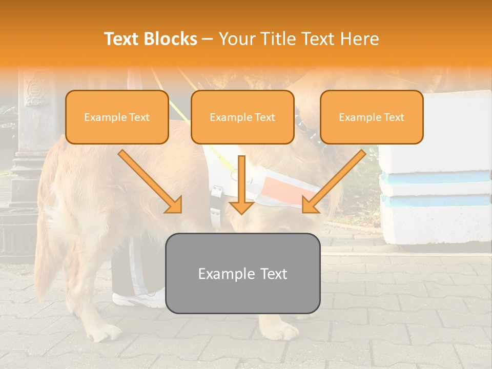 Skilled Skills Unsighted PowerPoint Template