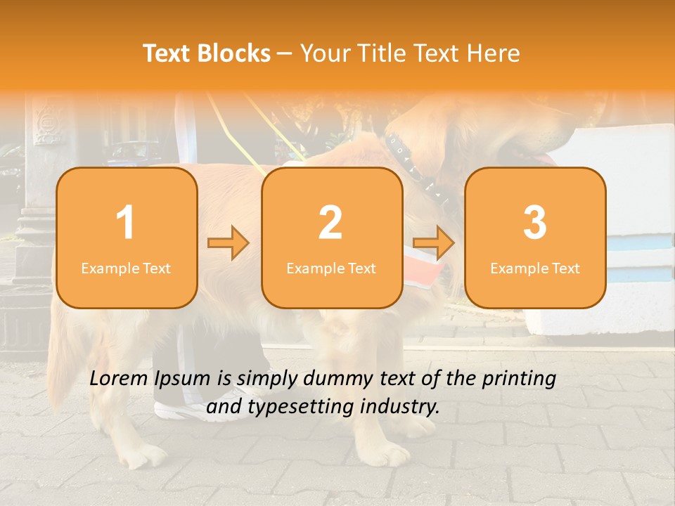 Skilled Skills Unsighted PowerPoint Template