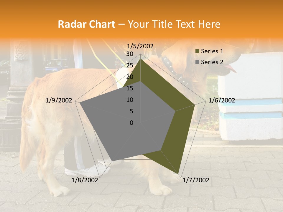 Skilled Skills Unsighted PowerPoint Template