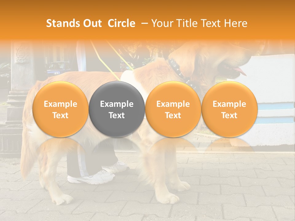 Skilled Skills Unsighted PowerPoint Template