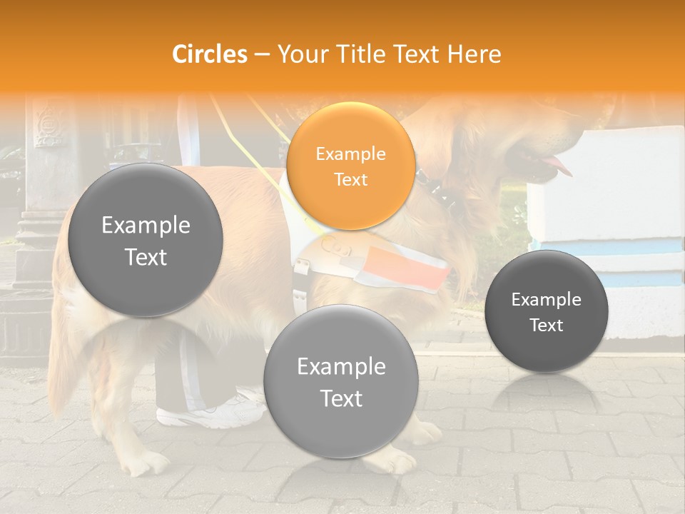 Skilled Skills Unsighted PowerPoint Template