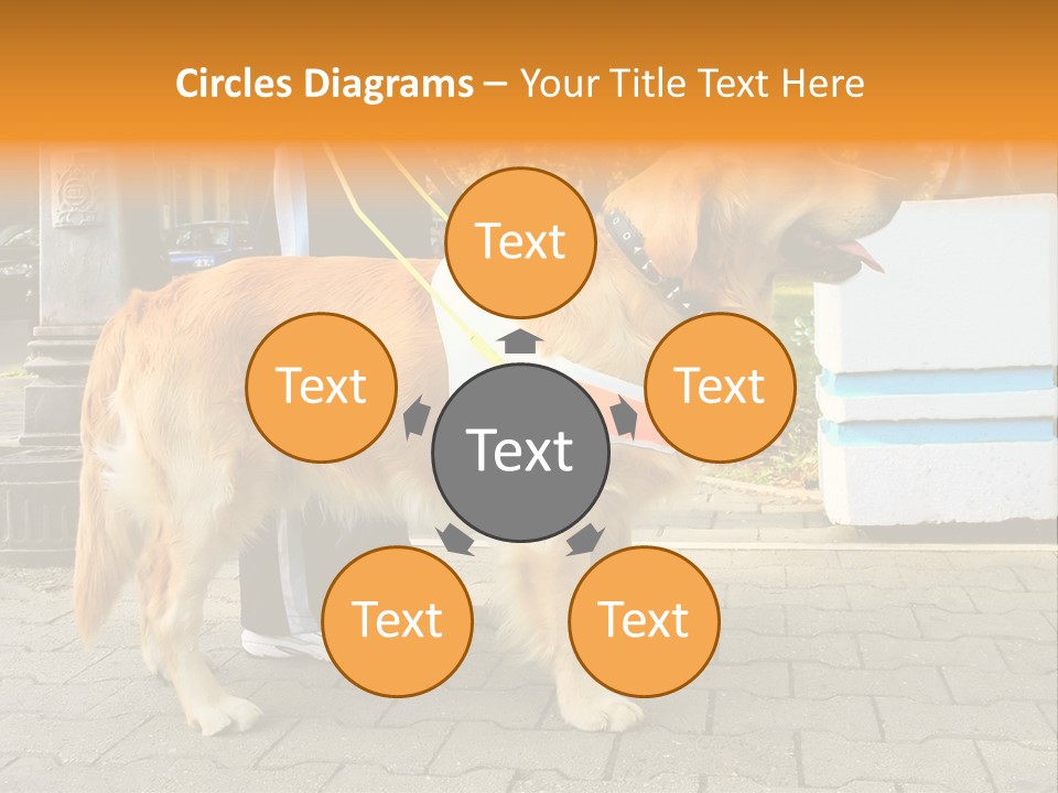 Skilled Skills Unsighted PowerPoint Template