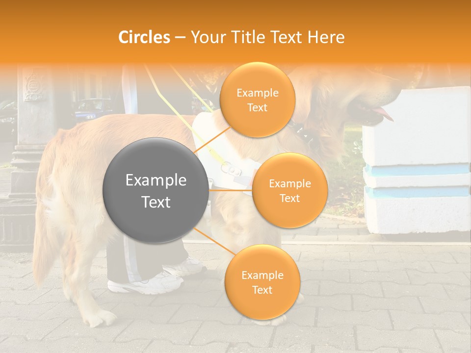 Skilled Skills Unsighted PowerPoint Template