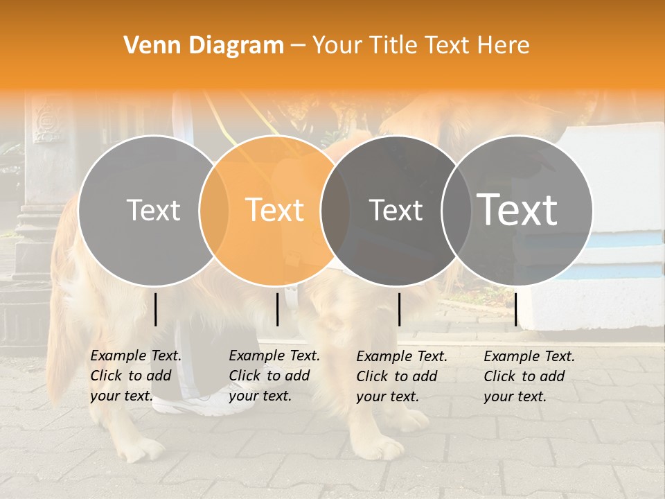 Skilled Skills Unsighted PowerPoint Template