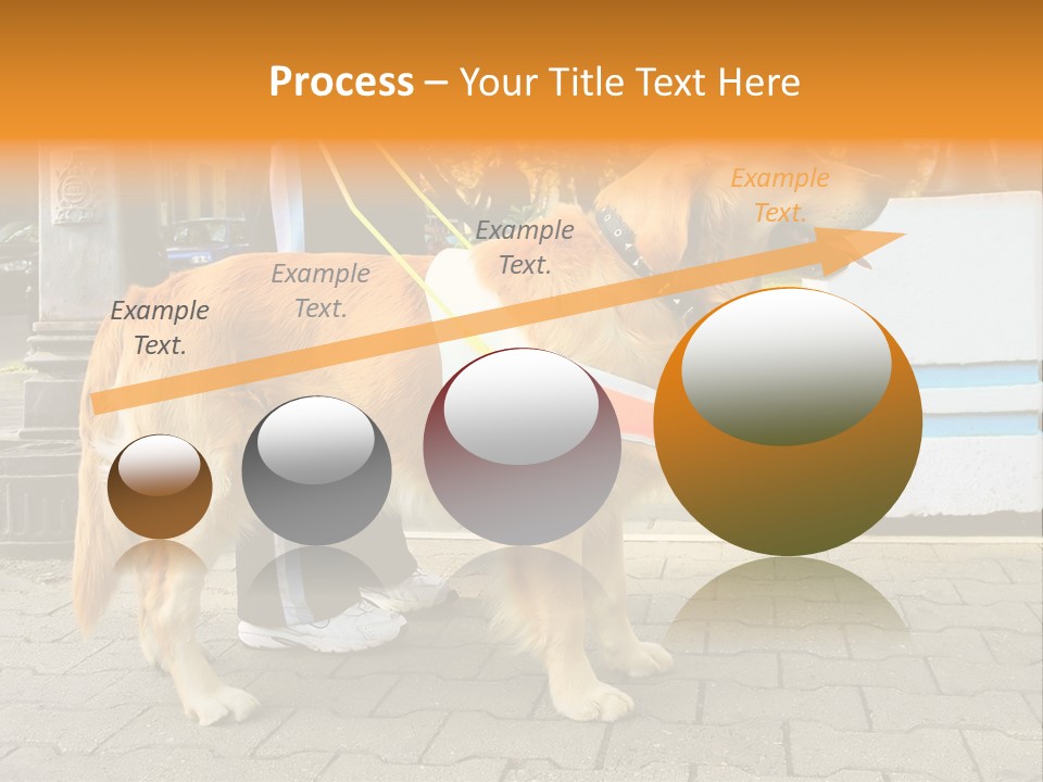 Skilled Skills Unsighted PowerPoint Template