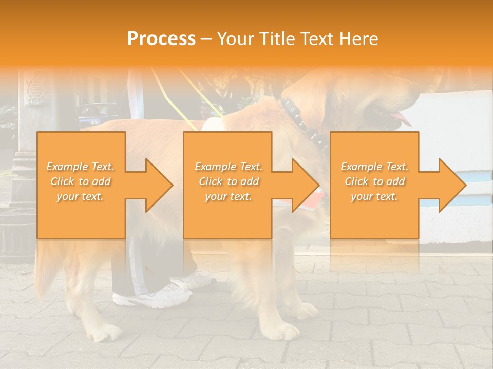 Skilled Skills Unsighted PowerPoint Template