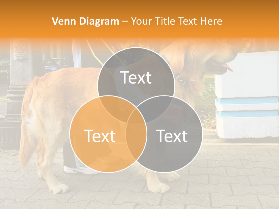 Skilled Skills Unsighted PowerPoint Template