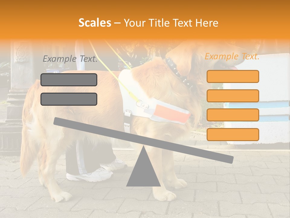 Skilled Skills Unsighted PowerPoint Template