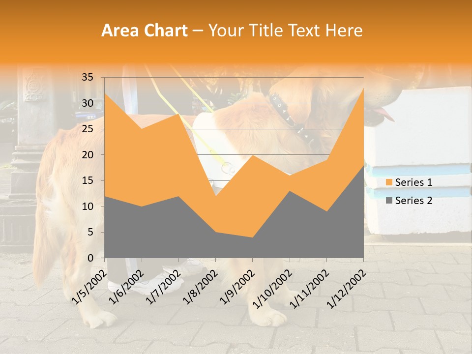 Skilled Skills Unsighted PowerPoint Template