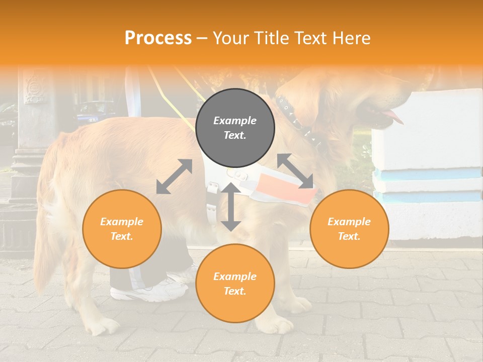 Skilled Skills Unsighted PowerPoint Template