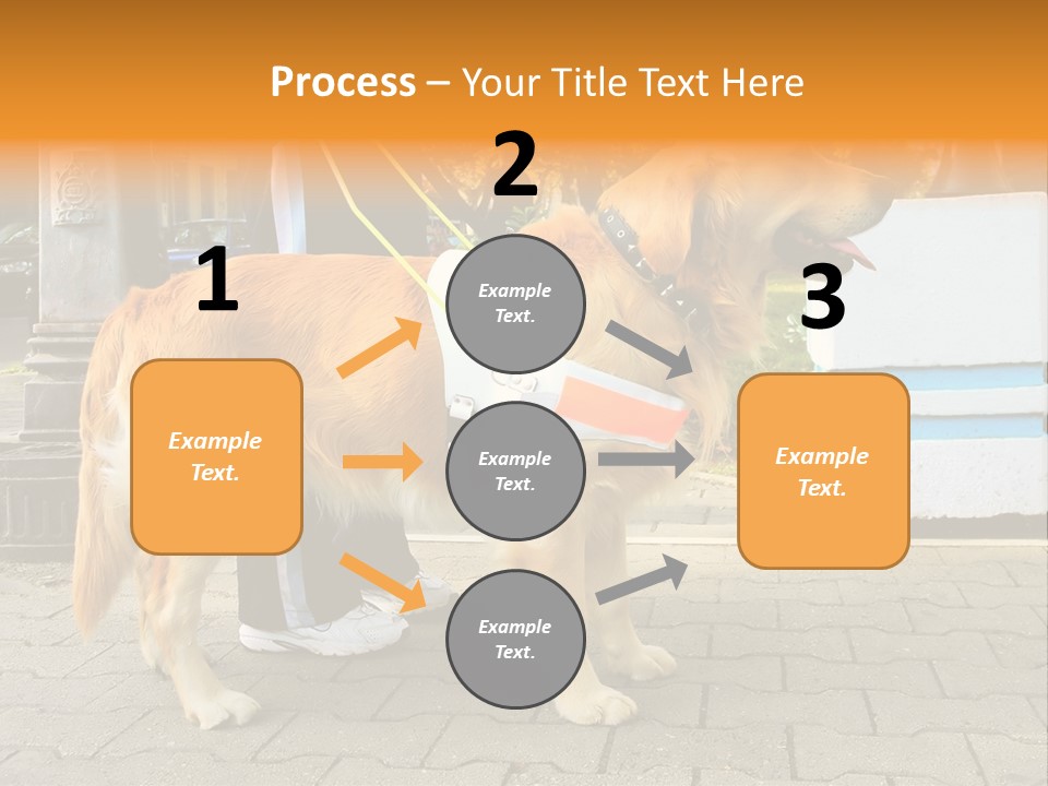 Skilled Skills Unsighted PowerPoint Template