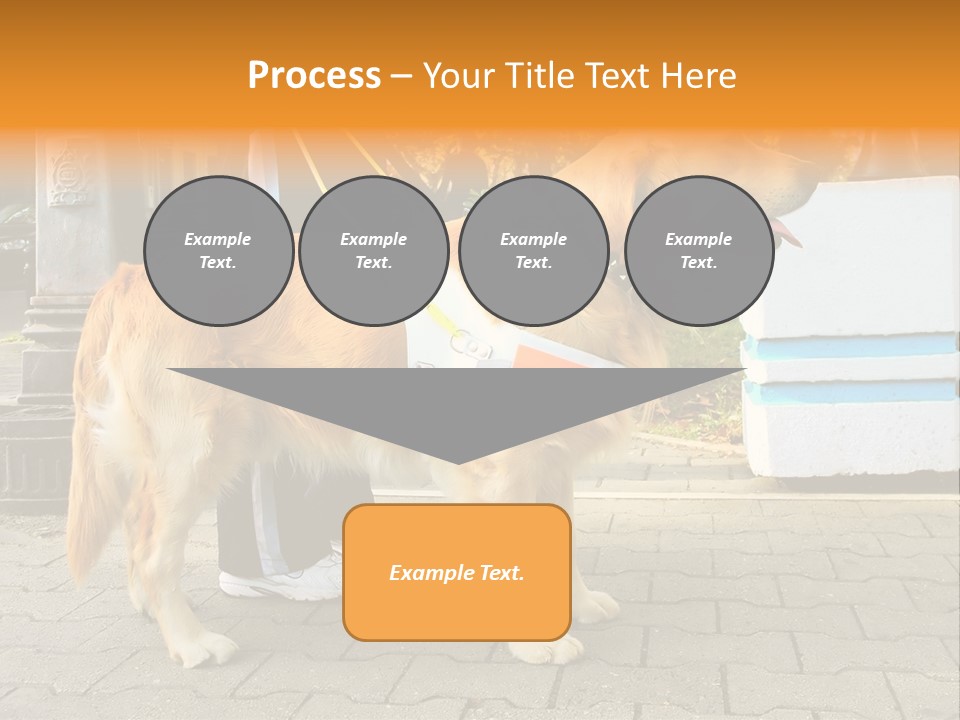 Skilled Skills Unsighted PowerPoint Template