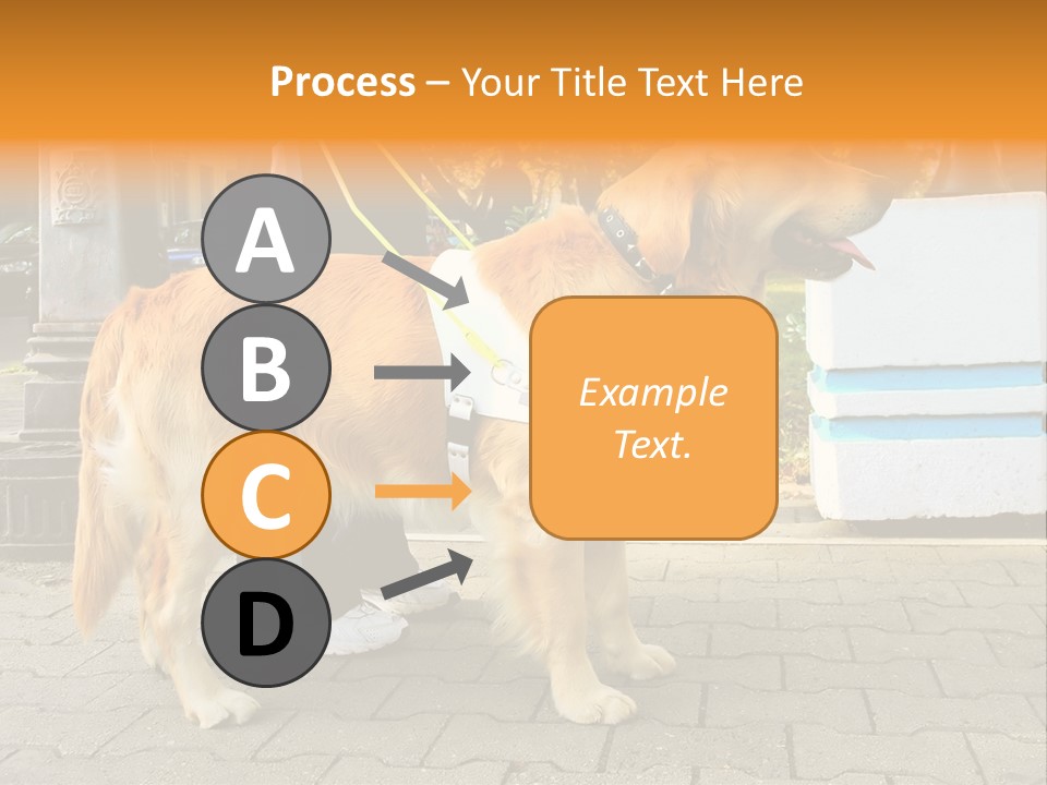 Skilled Skills Unsighted PowerPoint Template