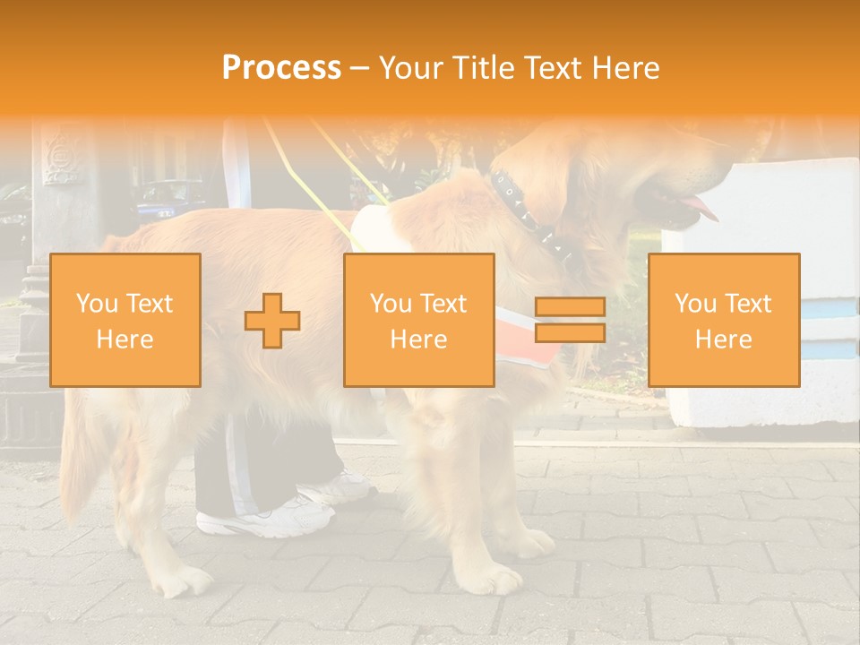Skilled Skills Unsighted PowerPoint Template