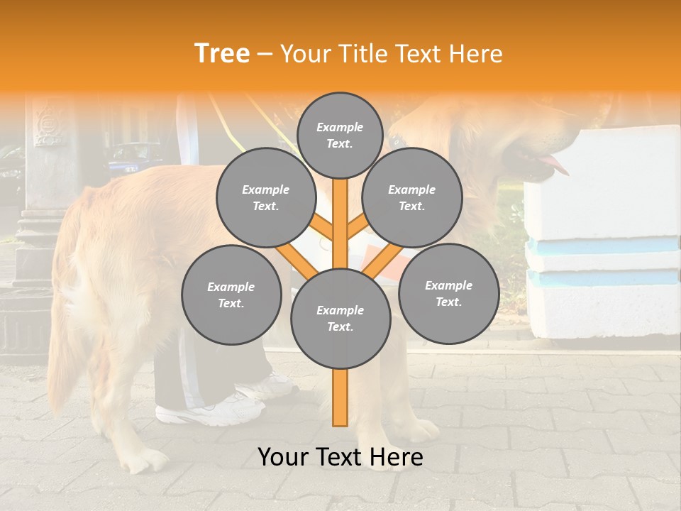 Skilled Skills Unsighted PowerPoint Template