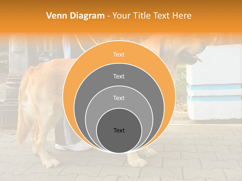 Skilled Skills Unsighted PowerPoint Template