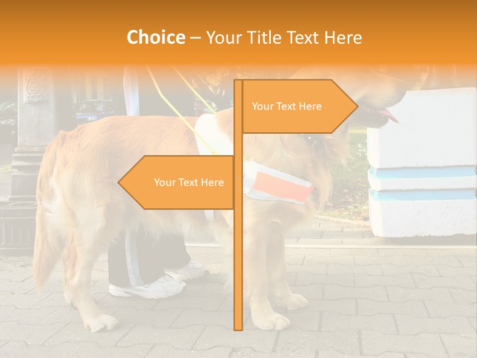 Skilled Skills Unsighted PowerPoint Template