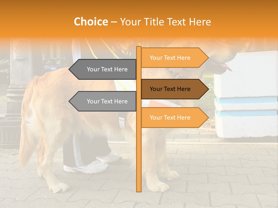 Skilled Skills Unsighted PowerPoint Template