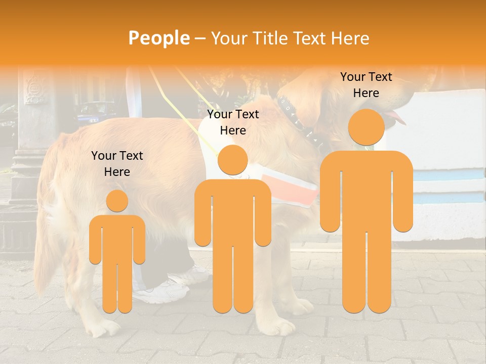 Skilled Skills Unsighted PowerPoint Template