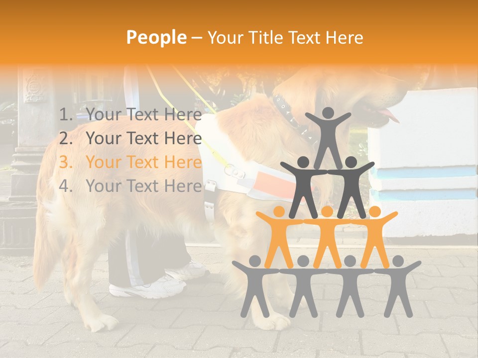 Skilled Skills Unsighted PowerPoint Template