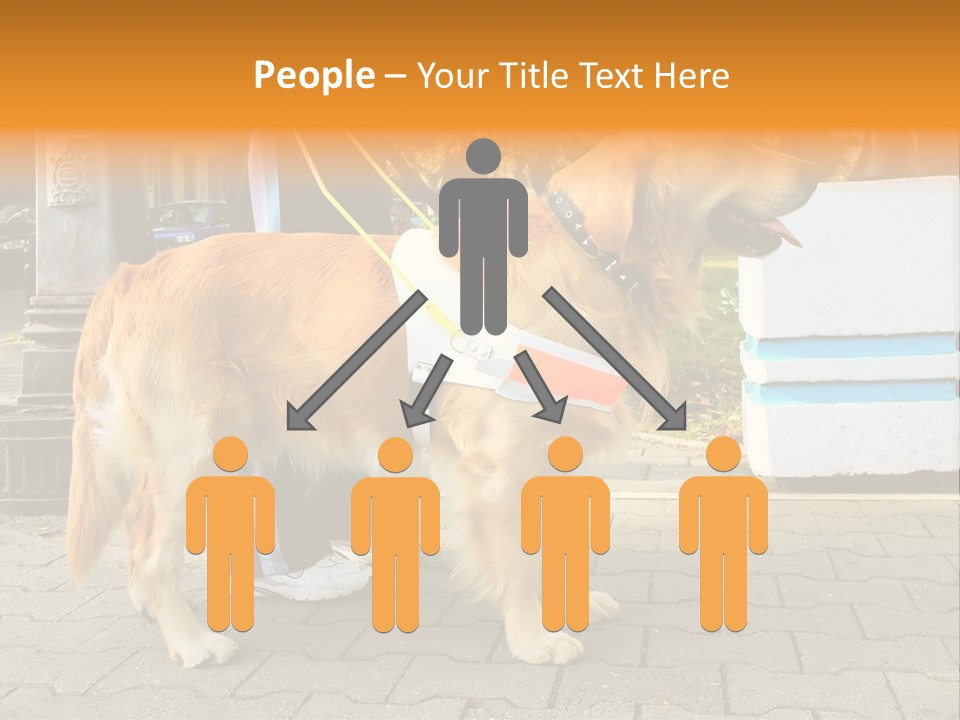 Skilled Skills Unsighted PowerPoint Template