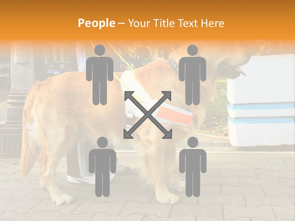 Skilled Skills Unsighted PowerPoint Template