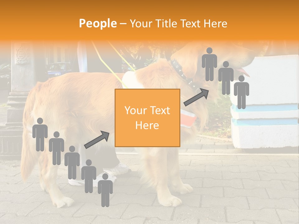 Skilled Skills Unsighted PowerPoint Template