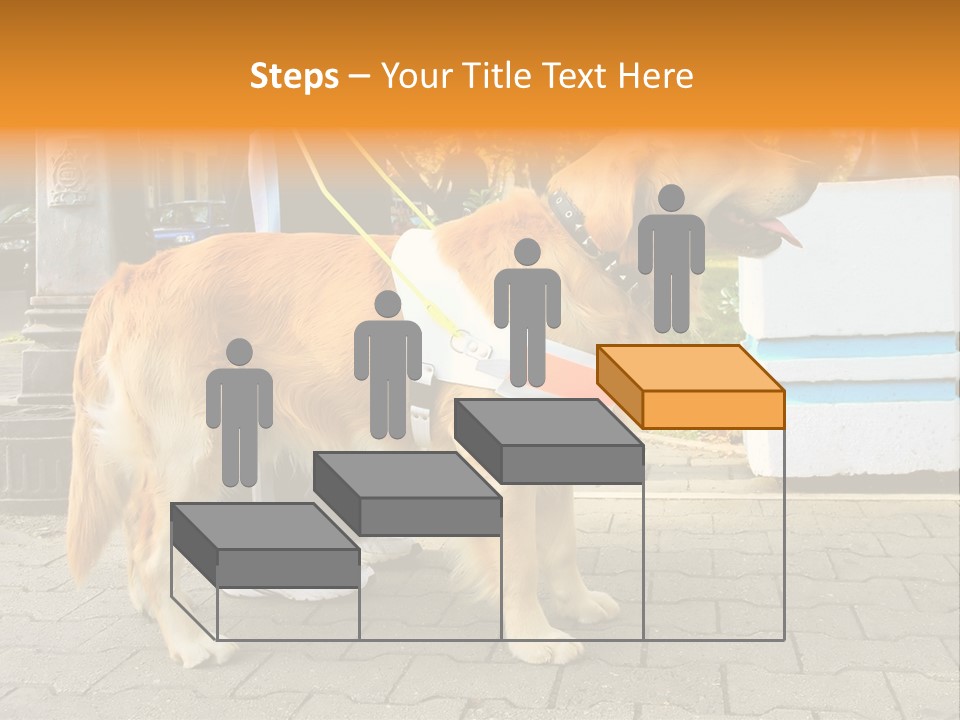Skilled Skills Unsighted PowerPoint Template