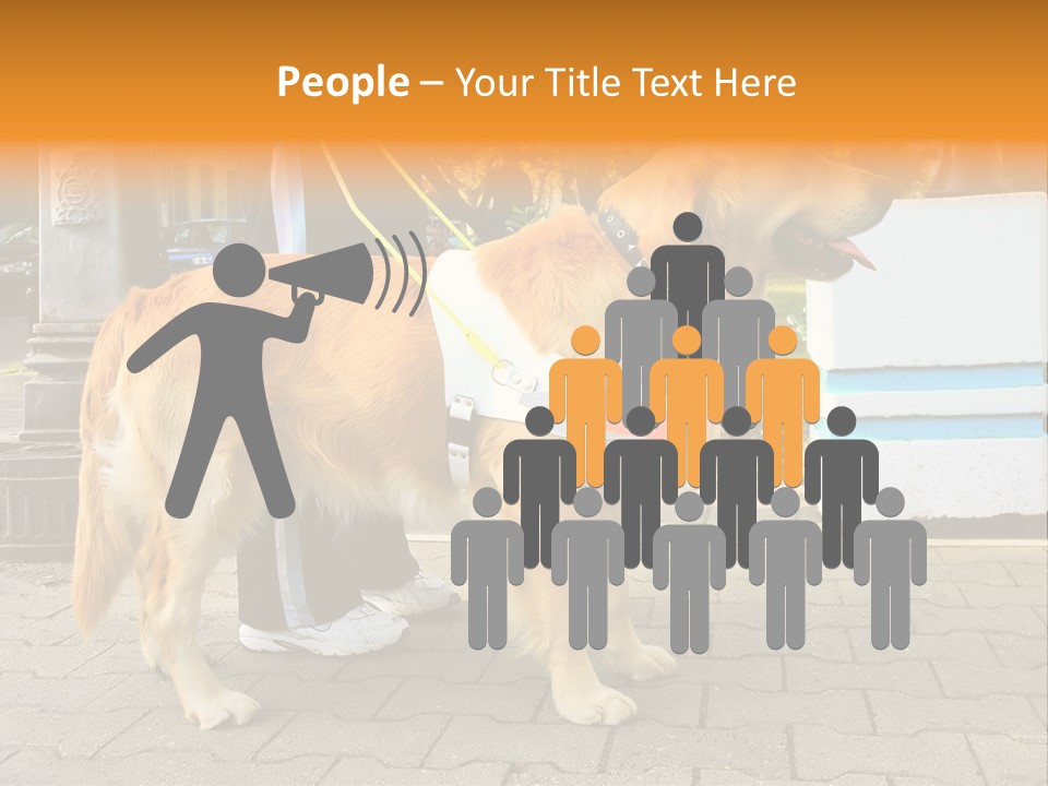 Skilled Skills Unsighted PowerPoint Template