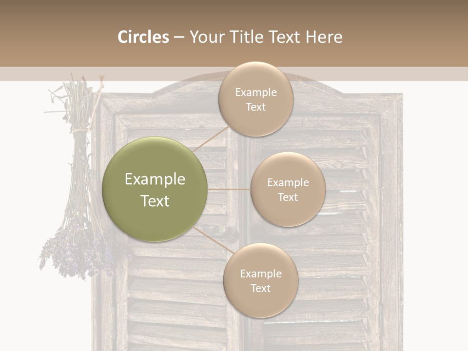 Shutter Lavender Isolate PowerPoint Template
