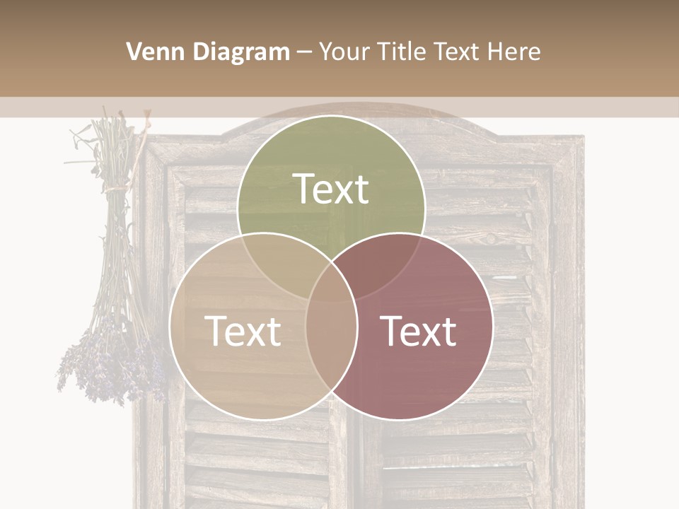 Shutter Lavender Isolate PowerPoint Template