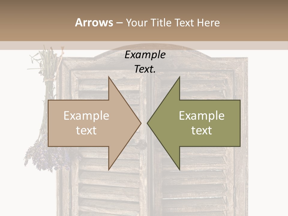 Shutter Lavender Isolate PowerPoint Template