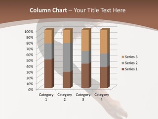 Balance Agility Elegance PowerPoint Template