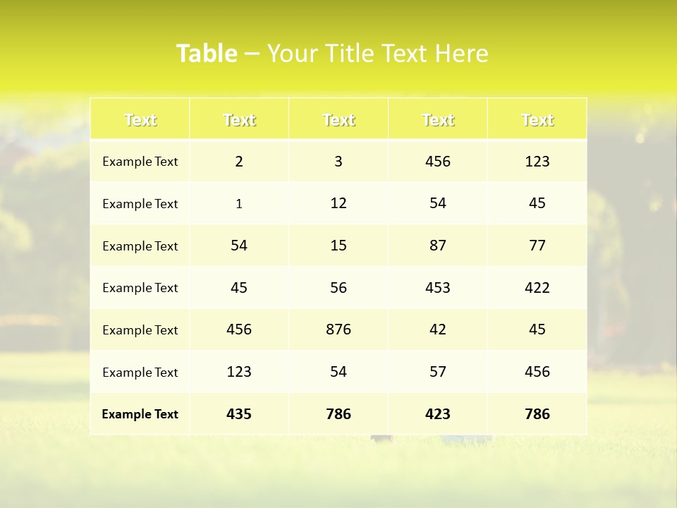 Young Football Park PowerPoint Template
