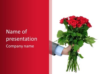 A Person Holding A Bunch Of Red Roses PowerPoint Template