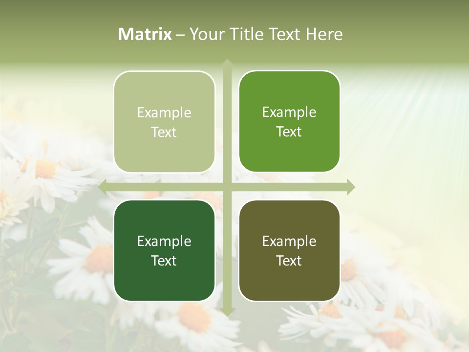 Beautiful Rain Stalk PowerPoint Template