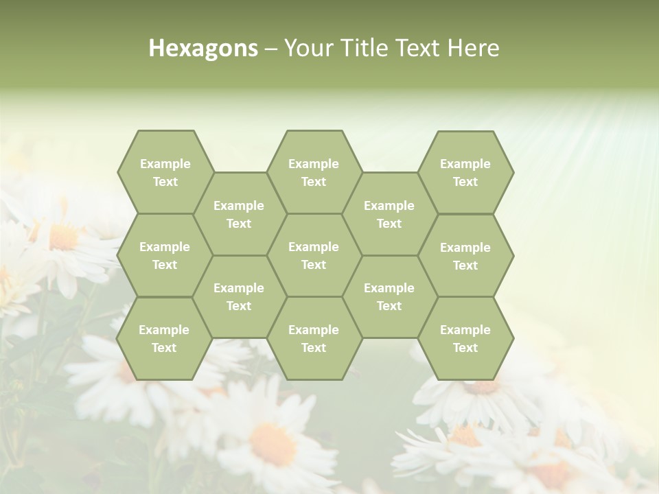 Beautiful Rain Stalk PowerPoint Template