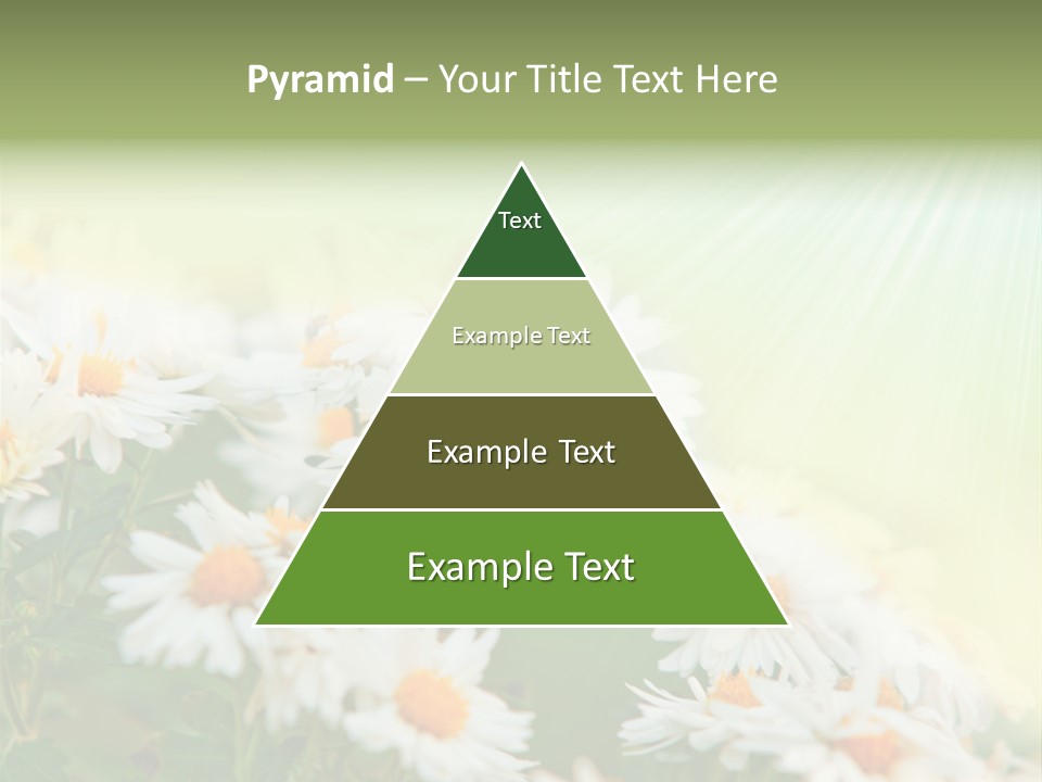 Beautiful Rain Stalk PowerPoint Template