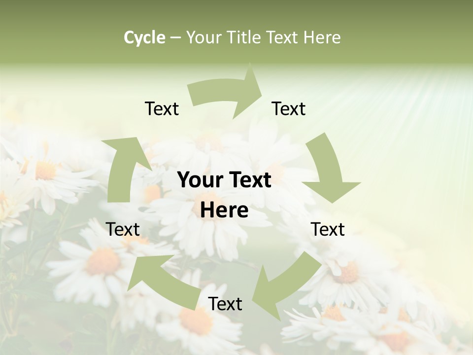 Beautiful Rain Stalk PowerPoint Template