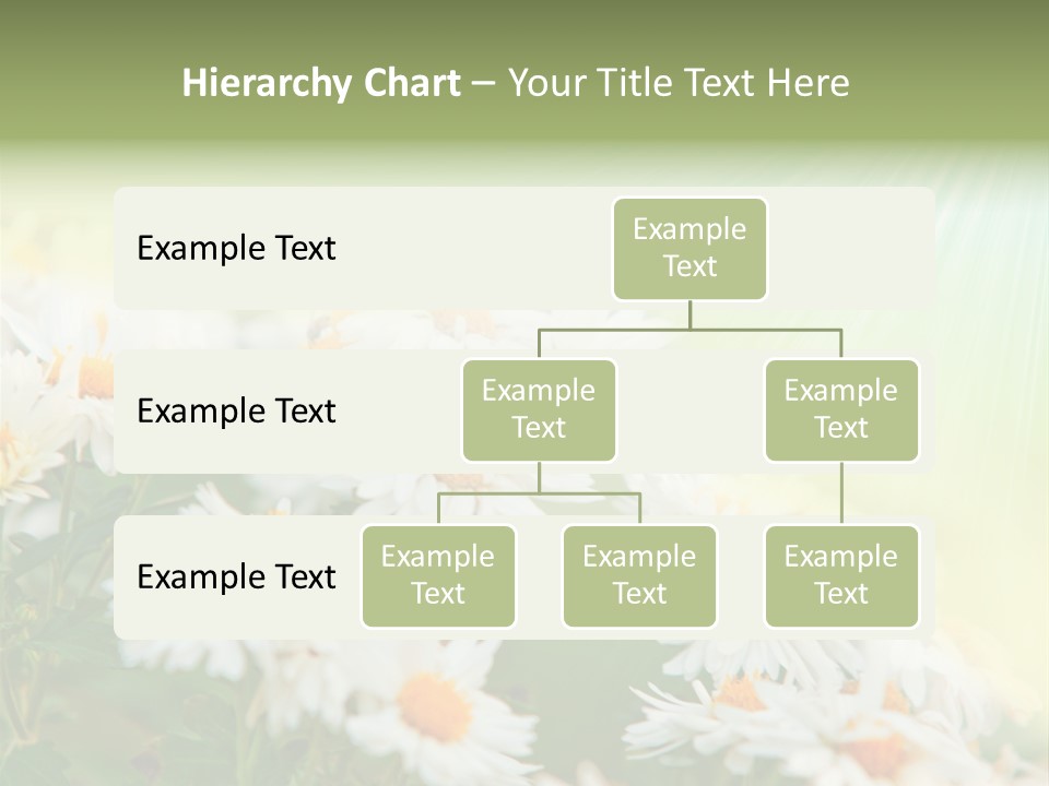 Beautiful Rain Stalk PowerPoint Template