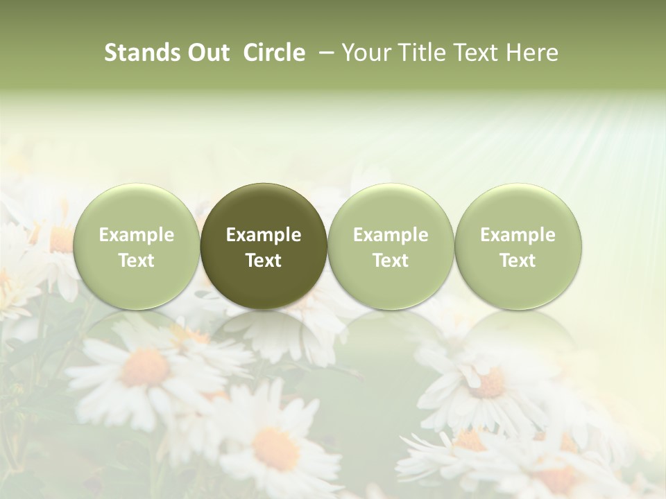 Beautiful Rain Stalk PowerPoint Template