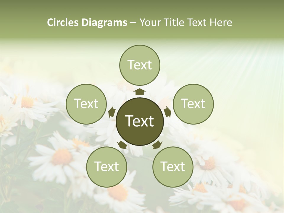 Beautiful Rain Stalk PowerPoint Template