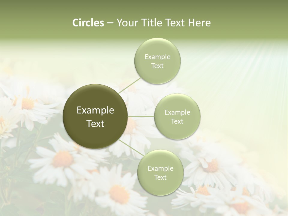 Beautiful Rain Stalk PowerPoint Template