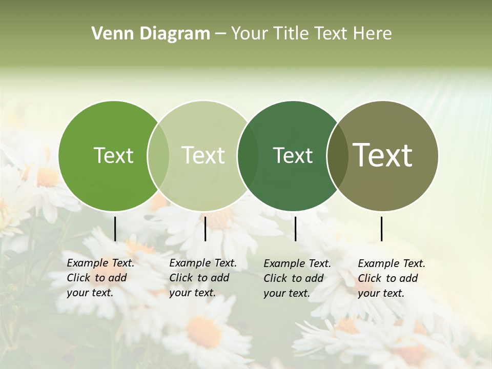 Beautiful Rain Stalk PowerPoint Template